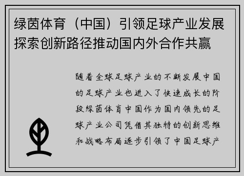 绿茵体育（中国）引领足球产业发展探索创新路径推动国内外合作共赢