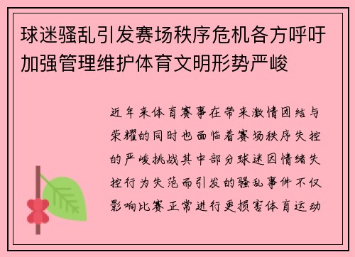 球迷骚乱引发赛场秩序危机各方呼吁加强管理维护体育文明形势严峻